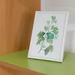 Apartman Green *